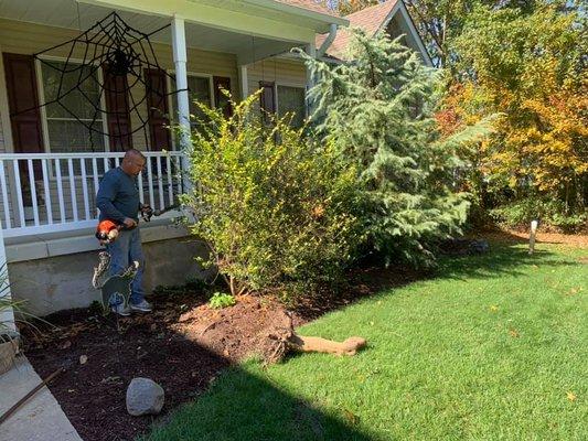 Green With Envy Landscape and Design