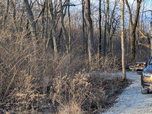 Postcard Cabins Starved Rock