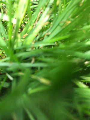 United Dairy Farmers of Cols