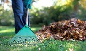 Marcos Landscape and Maintenance