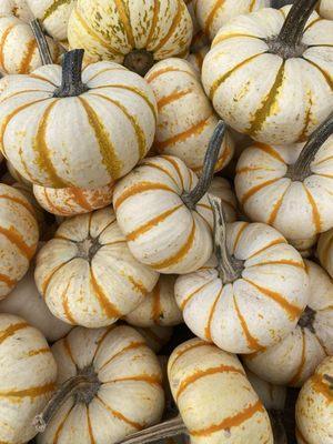 Reston Farm Garden Market