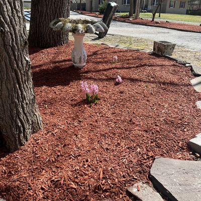 Sylva landscape and tree service