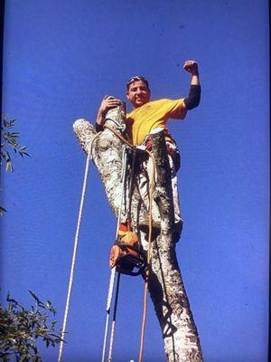 San Antonio Tree Service