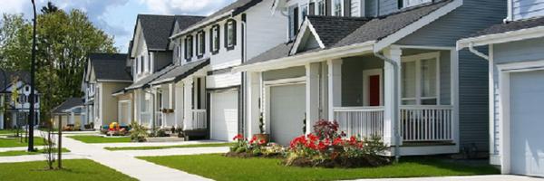 Little Bay Realty