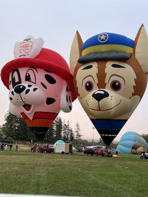 Sonoma County Hot Air Balloon Classic