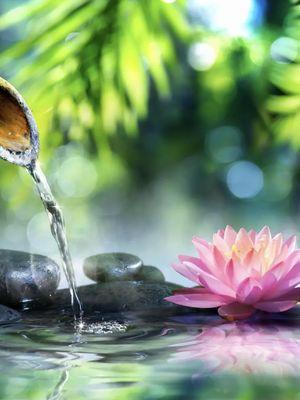 Tradition With A Twist