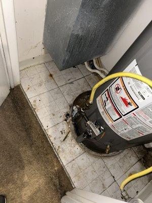 disgusting utility closet-- peep the "professionally cleaned" carpets