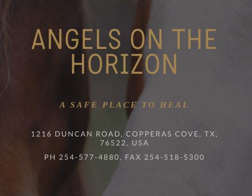 Angels On The Horizon