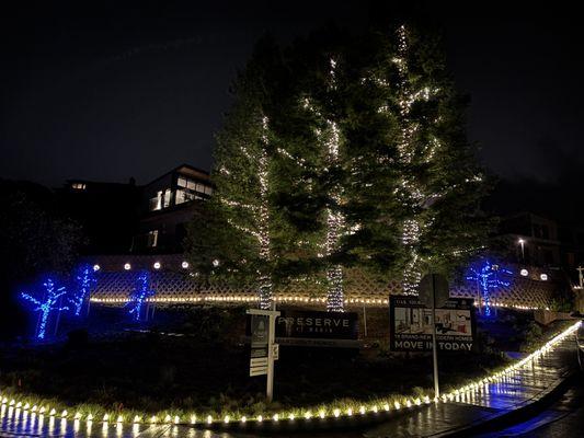 Alex's Holiday Lighting