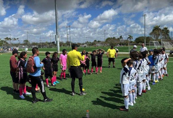 Littlehavana_Silverback