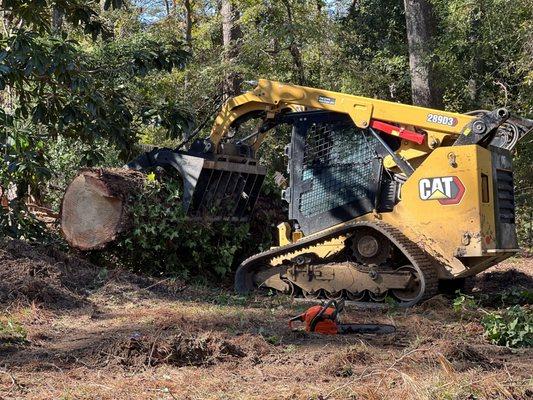 Robert & Sons Tree Service