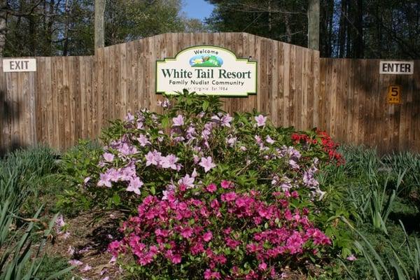 White Tail Nudist Resort