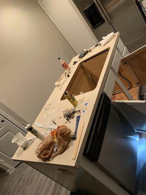 Handyman Services of Riverview