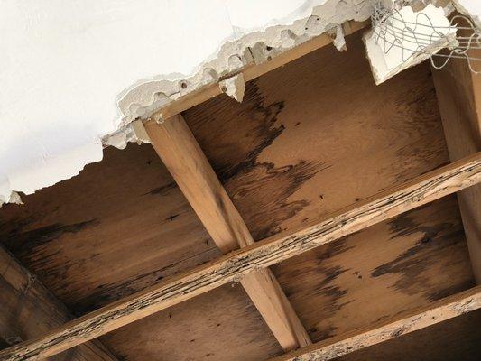 Fraser Property and Adjusting