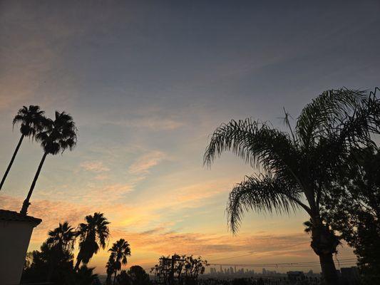 Hollywood Hills Recovery