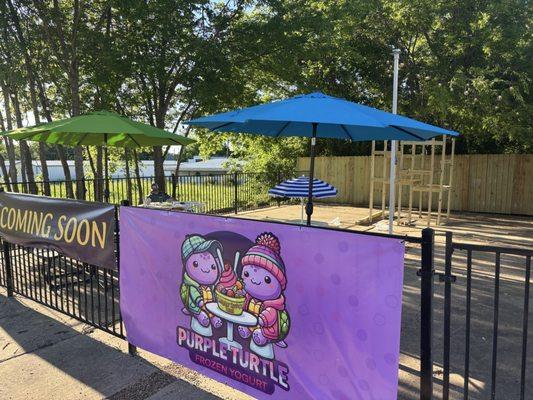 Purple Turtle Frozen Yogurt