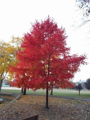 Samuel Nelkin County Park