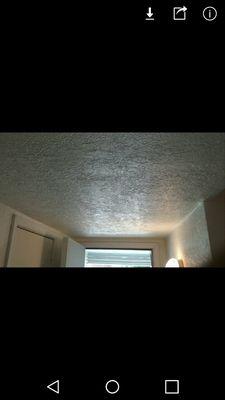 Penelope Painting And Drywall