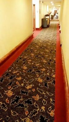 A Pro Clean Carpet Cleaning