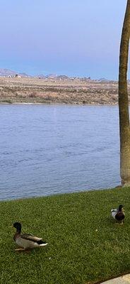 The airport across the river