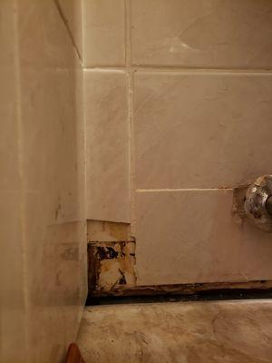 This is the wall tile they Broke during and removing the old floor and then I tried to indicate to me that they did not cause the damage