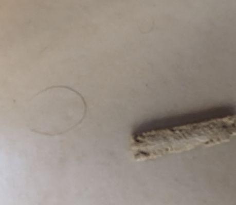 Chipped grout and hair bath area