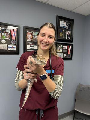 Old Country Animal Clinic