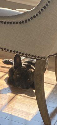 Waiting to see his friends at catch, so he can play.