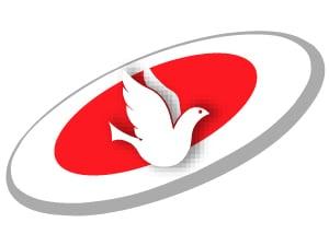 Network Solutions Inc