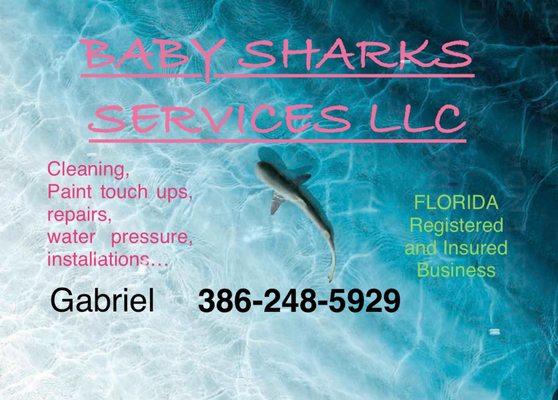 Baby Sharks Services