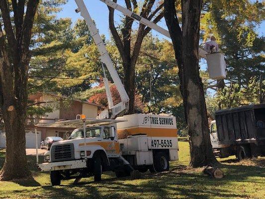 JB's Tree Service