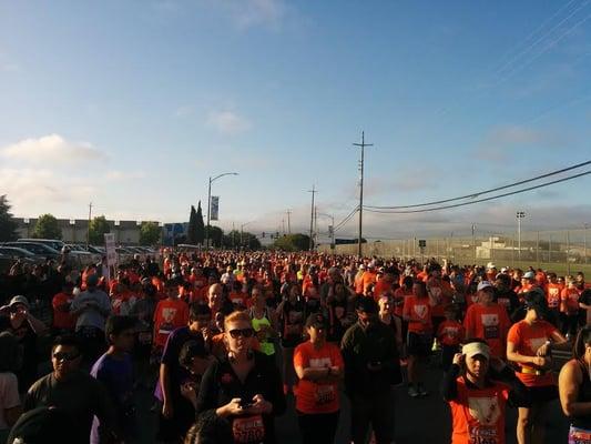 Lots and lots of SF Giants fans!