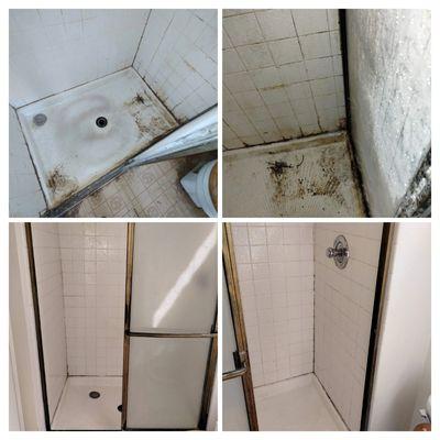 Sparkling House Cleaning