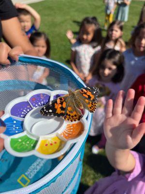 Releasing butterflies!