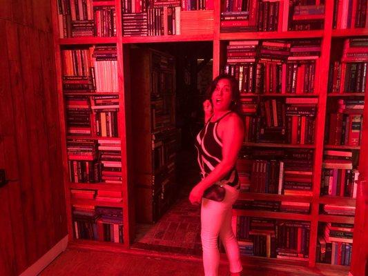 Cool hidden bookcase entry