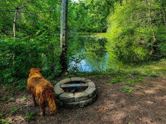 Courter Country Farm