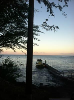 Getting ready for an outing with the whales this morning!