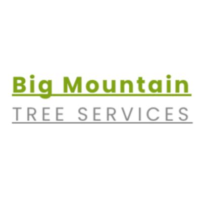Big Mountain Tree Services