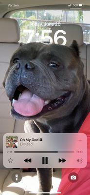 Premiere Dental Care Center