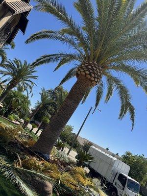 Juan's Gardening Service