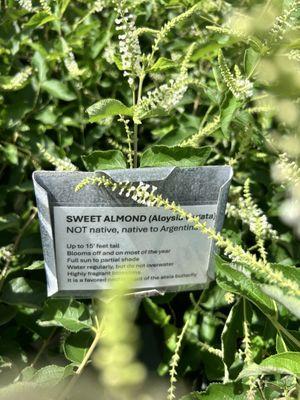 All Native Garden Center