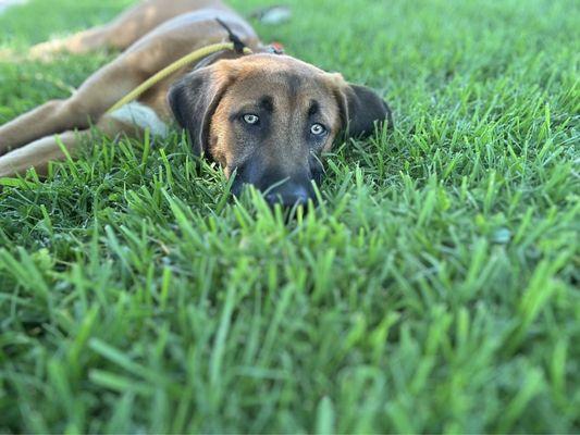 Van camp exhaustion!