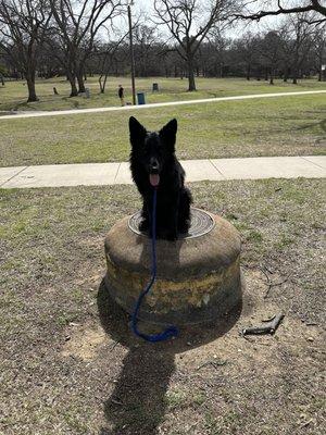 Sit Means Sit Fort Worth