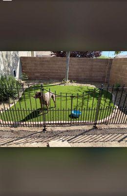 Royal Turf Landscape and Hardscape