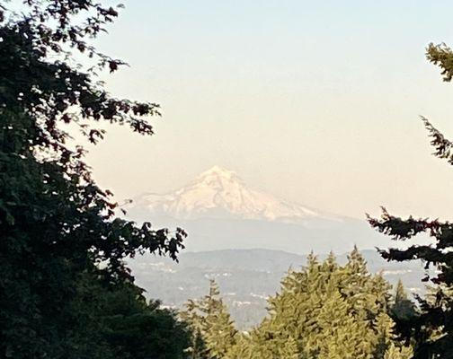 Council Crest Park