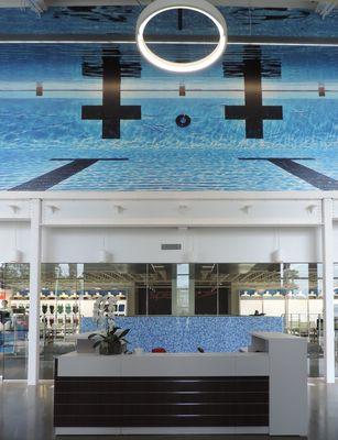 Speedo - Orange County