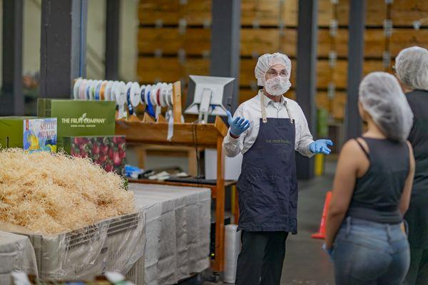The Fruit Company-Factory Experience