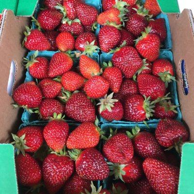 Farmer Joe's Produce