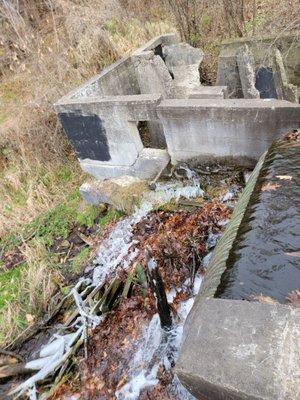 Paradise Springs Nature Center