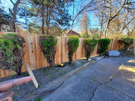 Mike Riley's Landscape